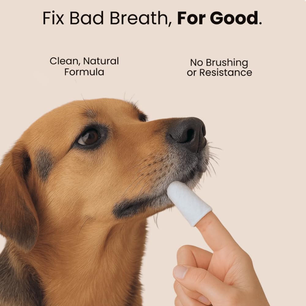 Pet Wipes Pro